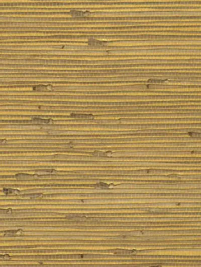 Mi Way Fine Grasscloth 1 by Sancar