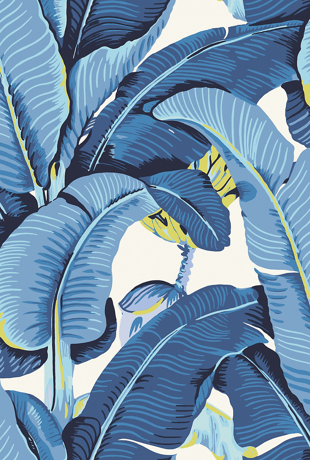 Hinson Palm in Blue Lagoon