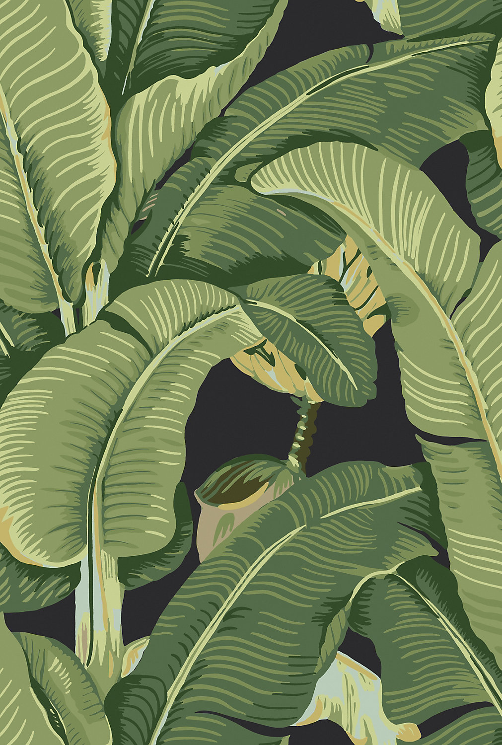 Hinson Palm in Absinthe