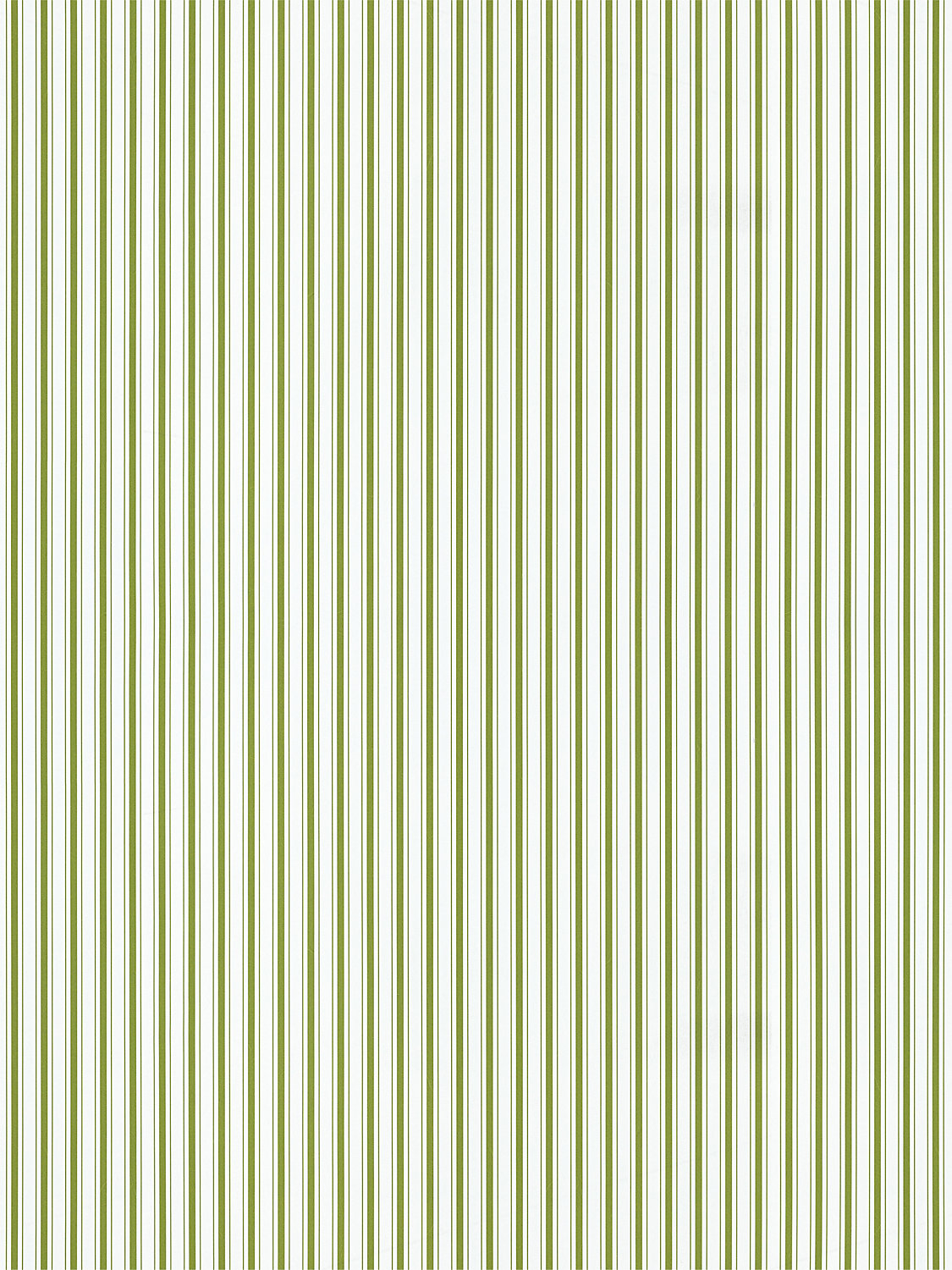 Johnson Stripe in Olive