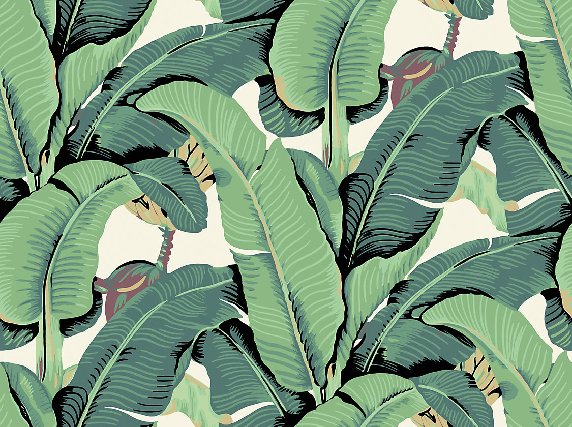 Hinson Palm – Wide Width in Green