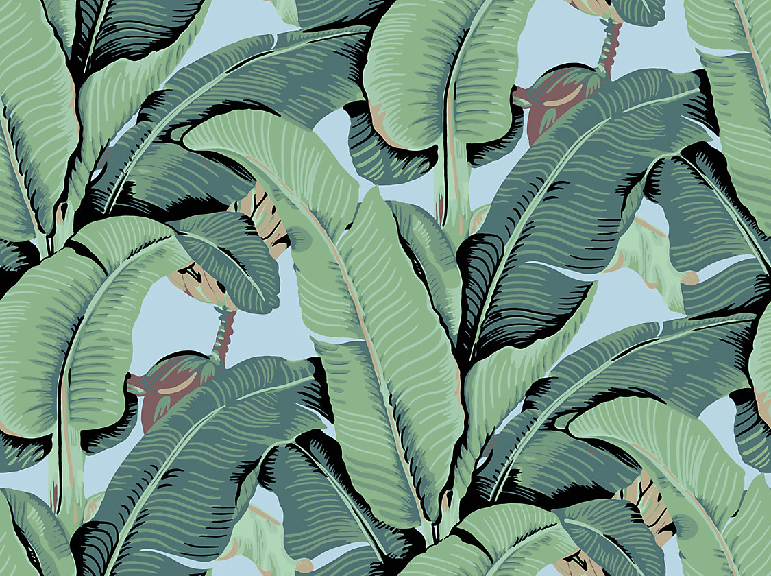 Hinson Palm – Wide Width in Sky