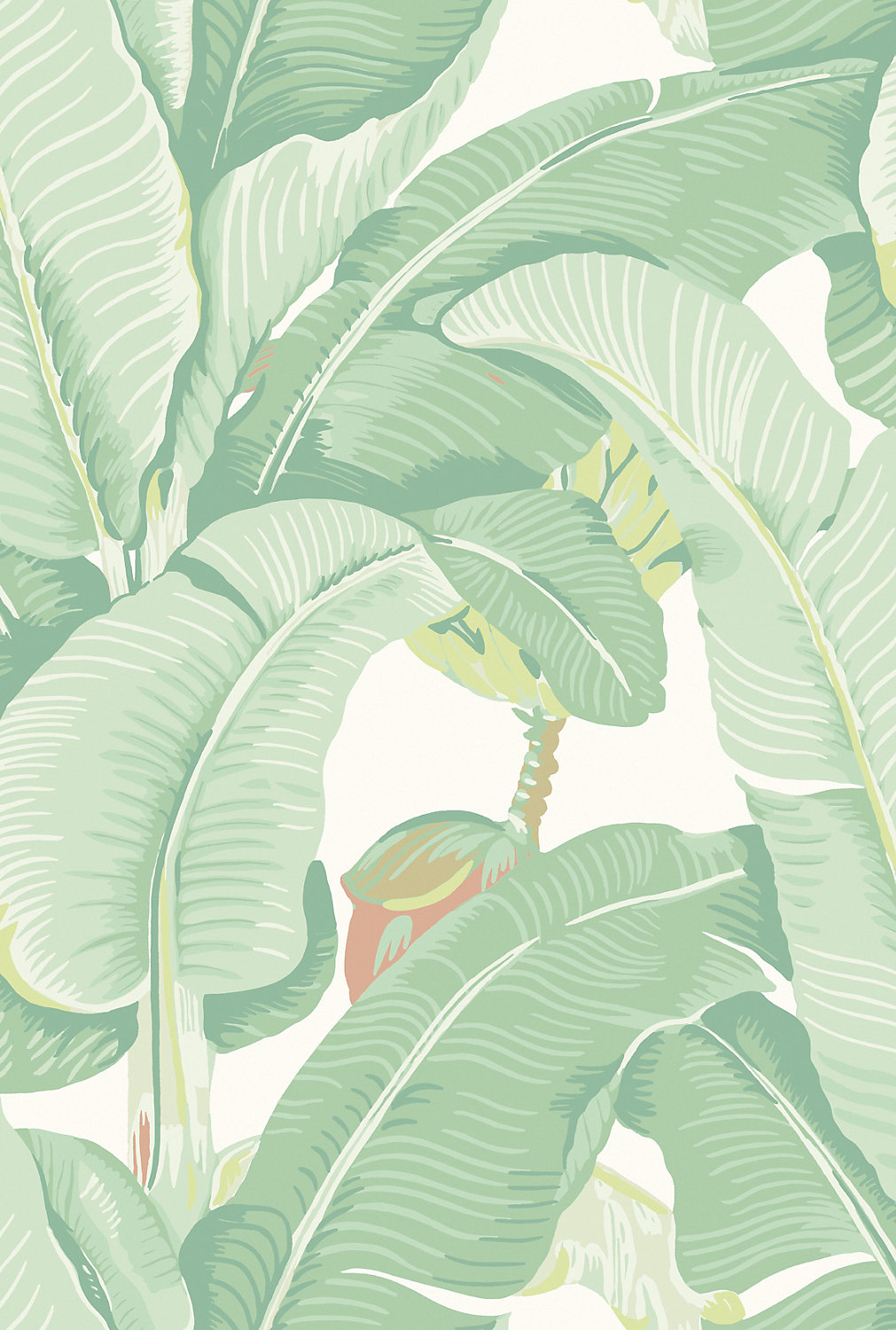 Hinson Palm in Soft Sage