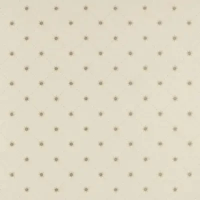 Cooper Star in Alabaster