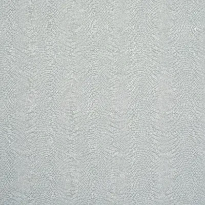 Snakeskin Vinyl in sky