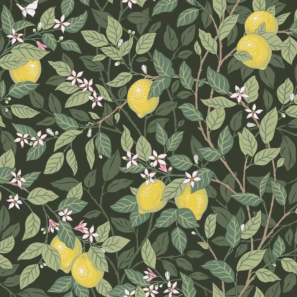 Citronträd in Green