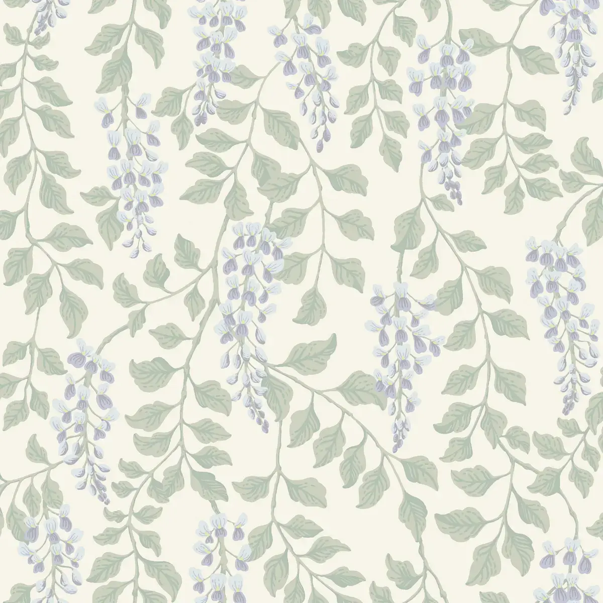 Blåregn in Lilac