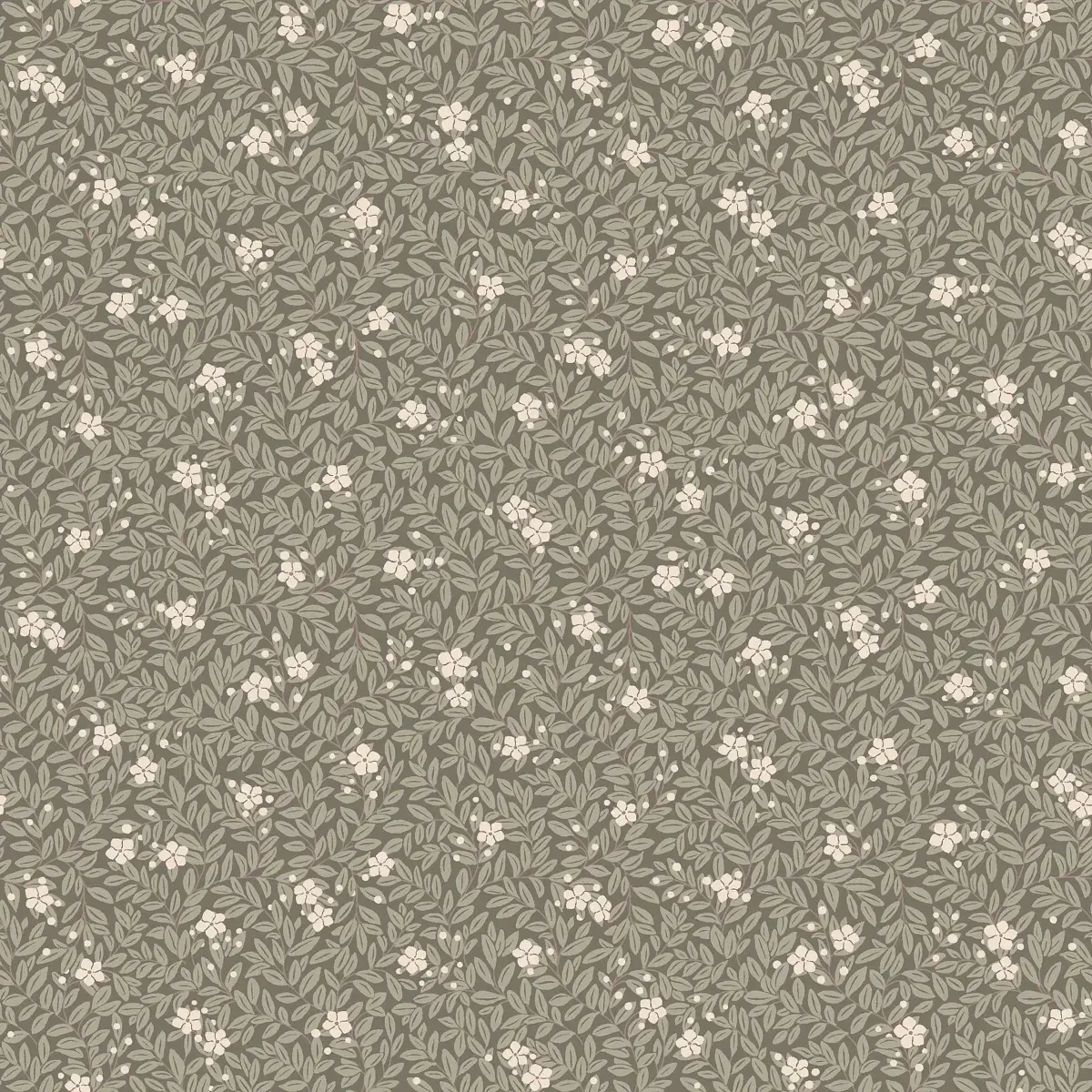 Myrten in Olive