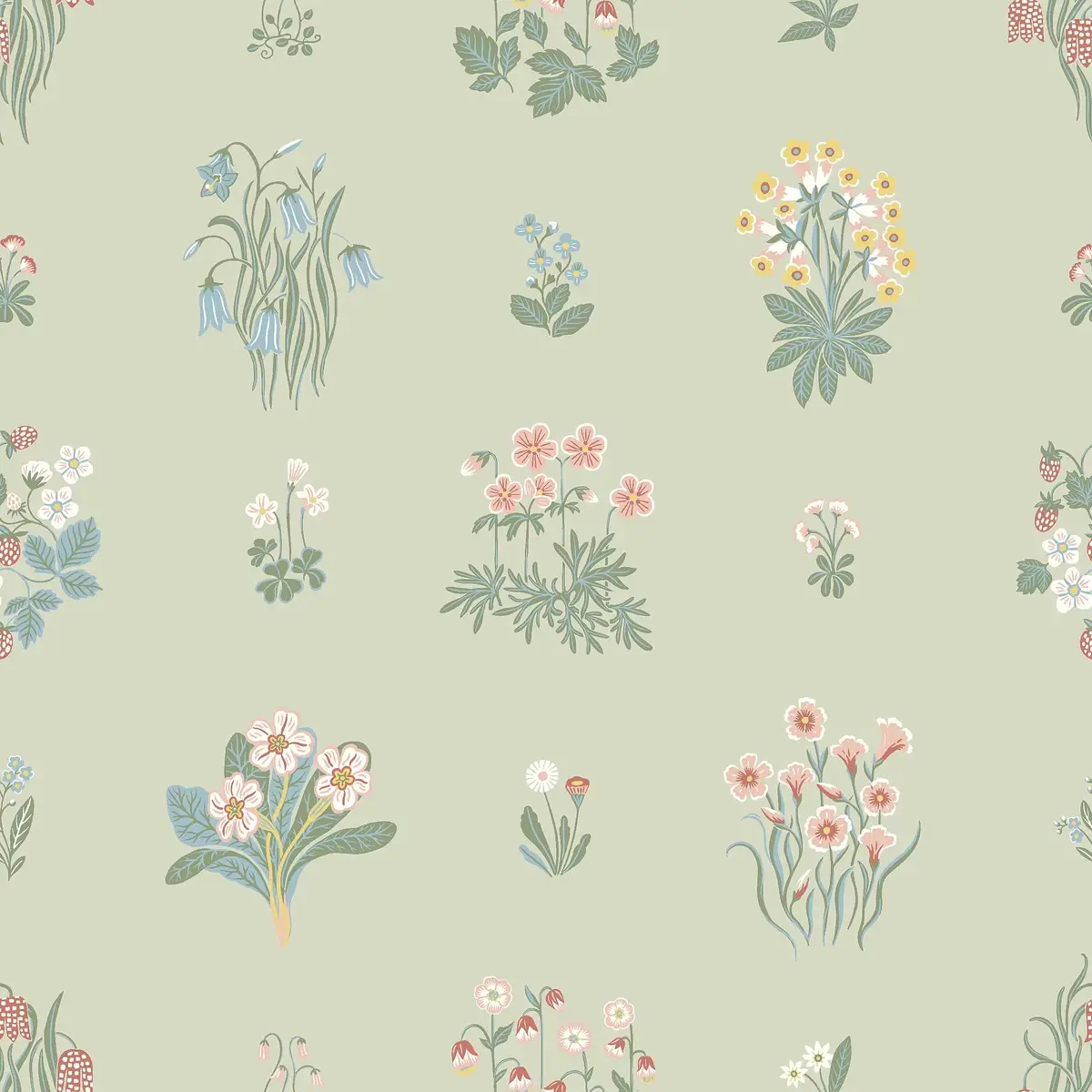 Ängsflora in Sage
