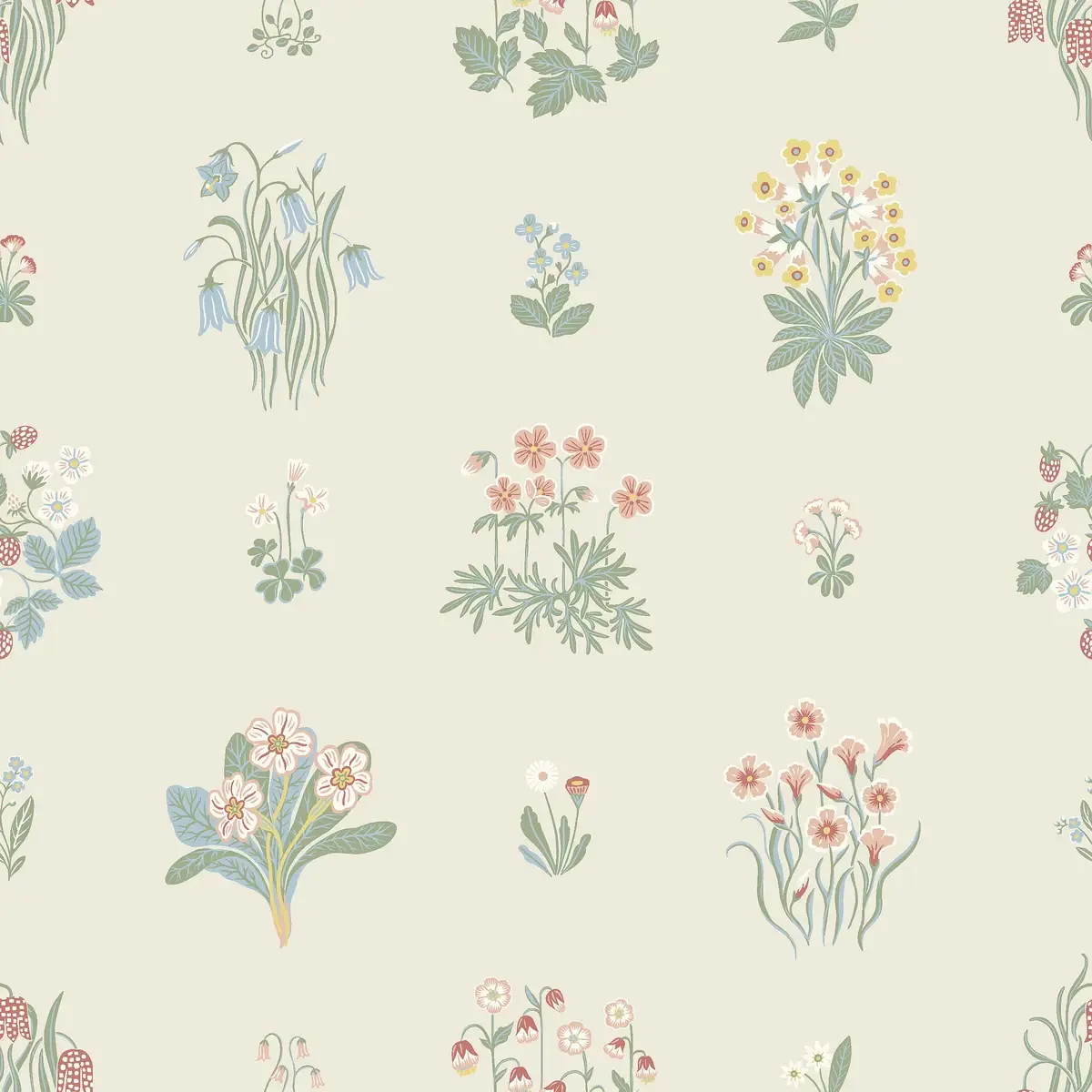Ängsflora in Spring