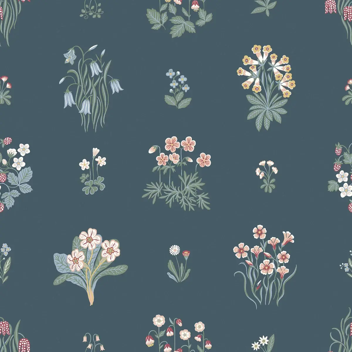 Ängsflora in Spruce