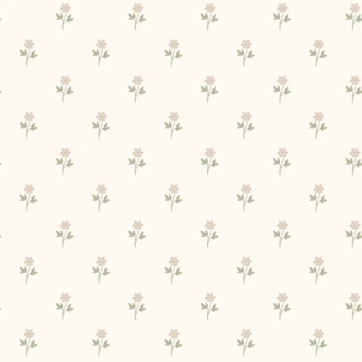 Anemone in Blush