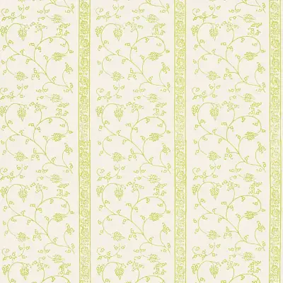 Khanpur Vine in Pear