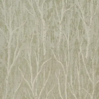 Komorebi in illuminated forest