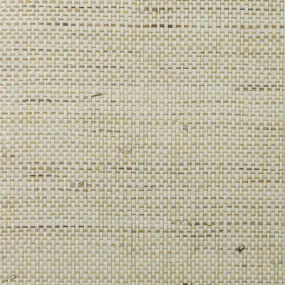 Paperweave and Ramie