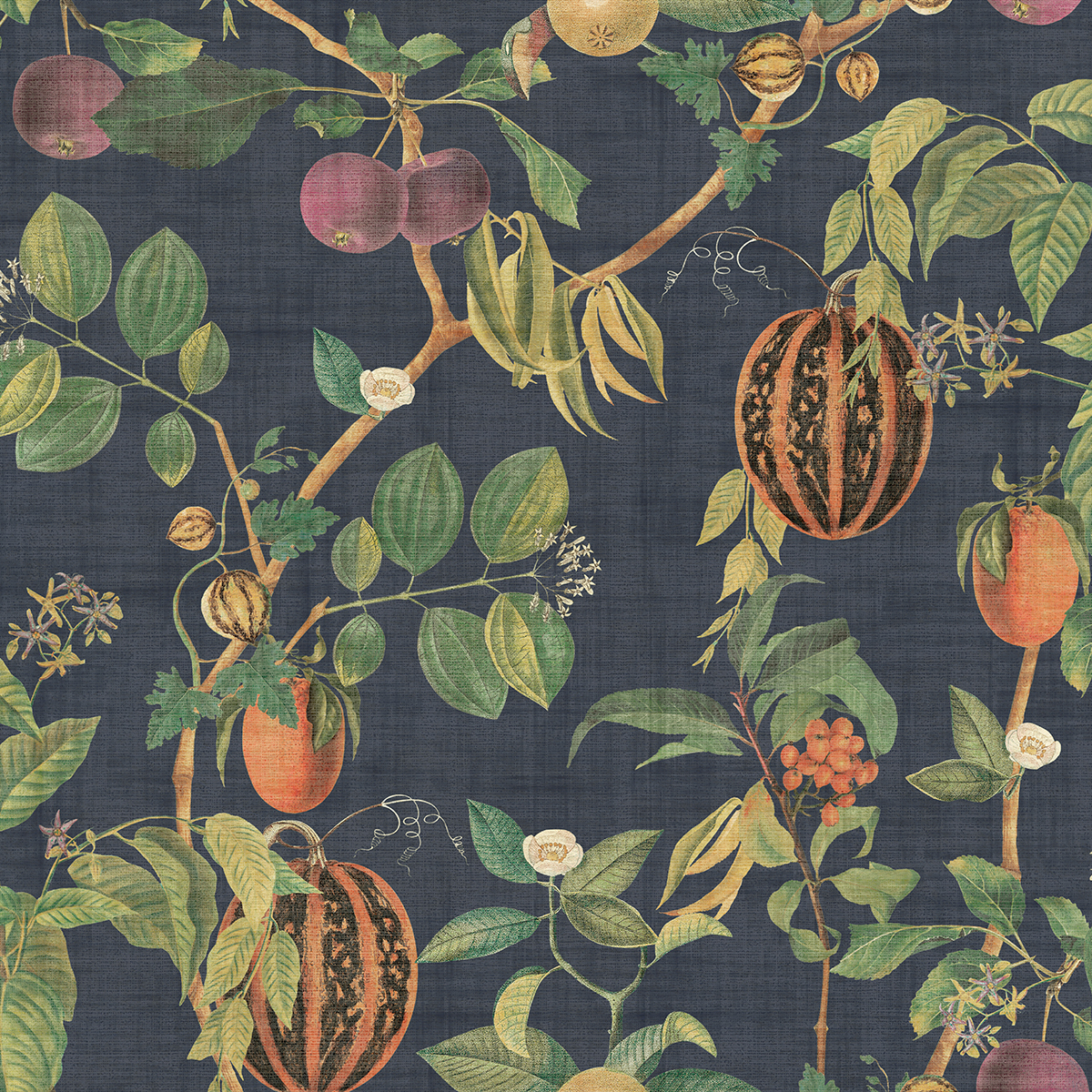 Tropic House — Navy
