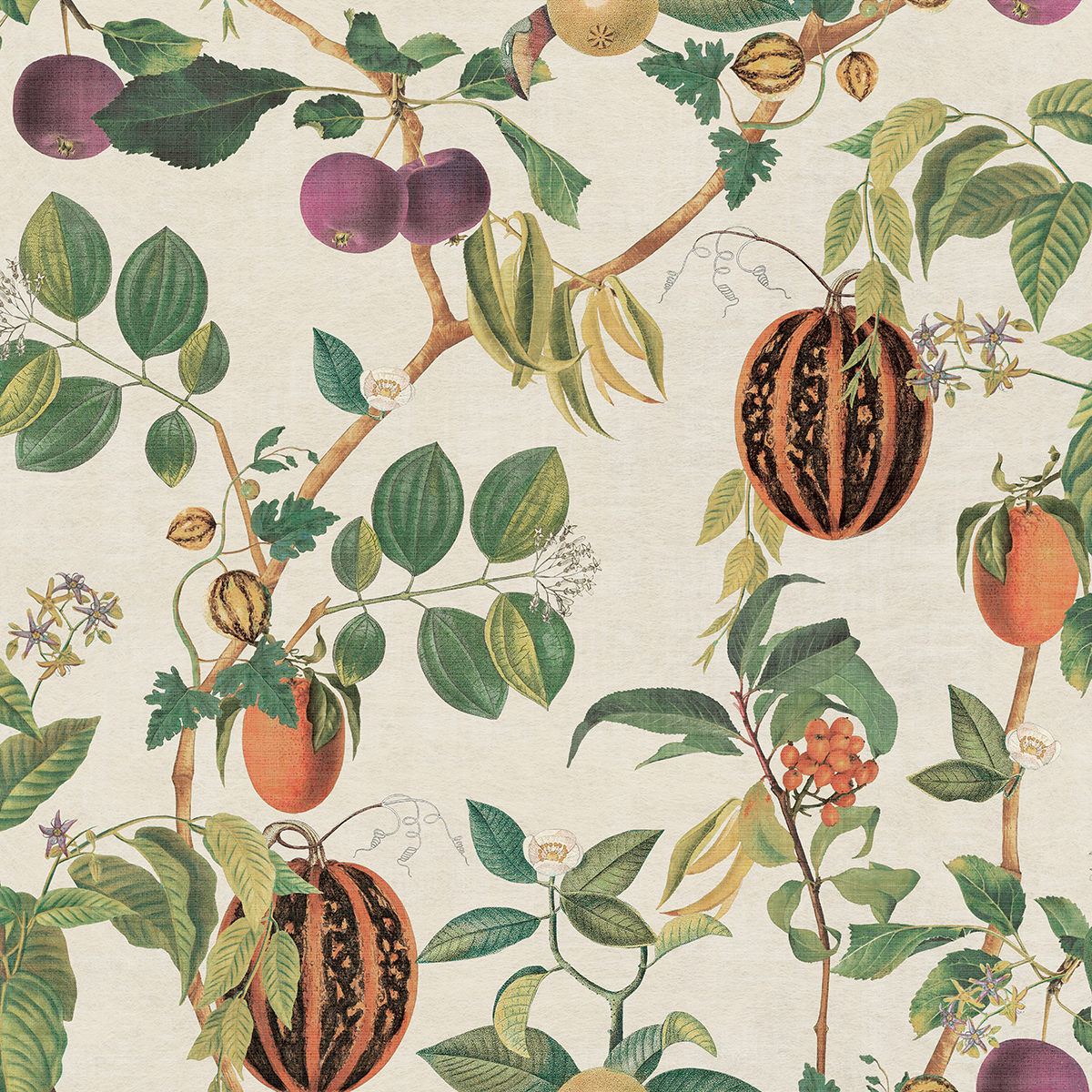 Tropic House — Parchment and Green