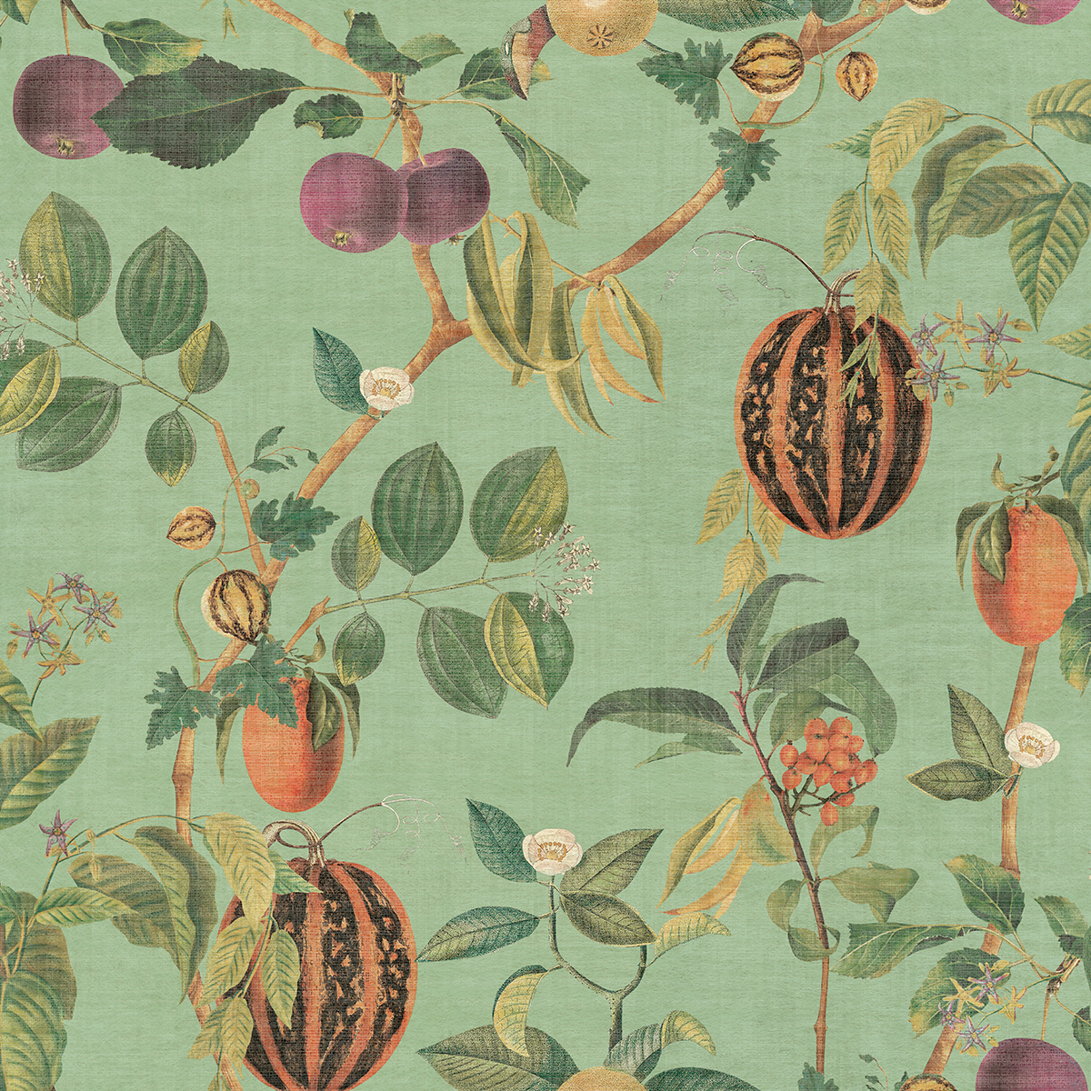Tropic House — Sage