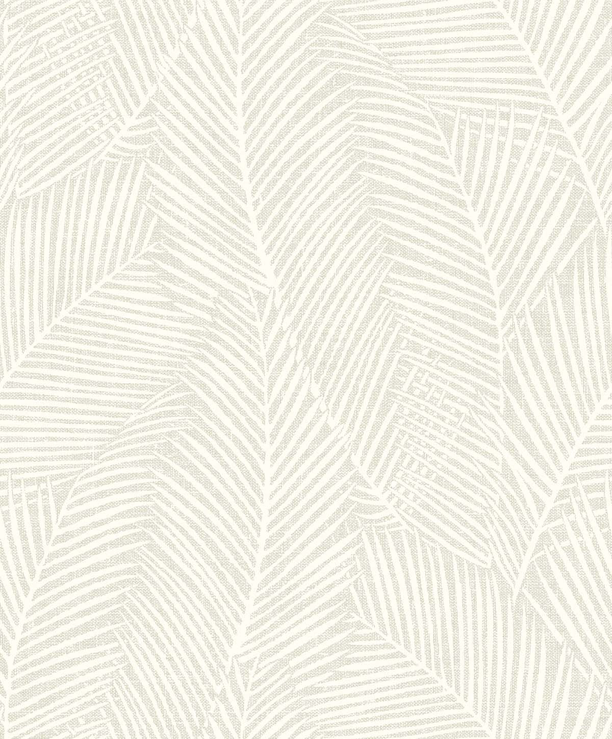 Pampas Palm in Foggy Day