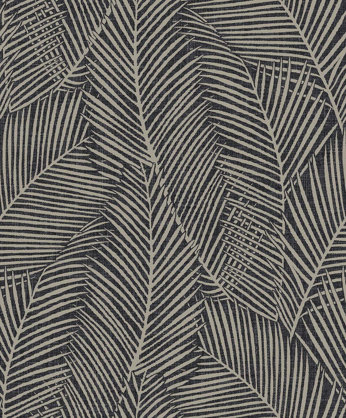 Pampas Palm in Volcanic