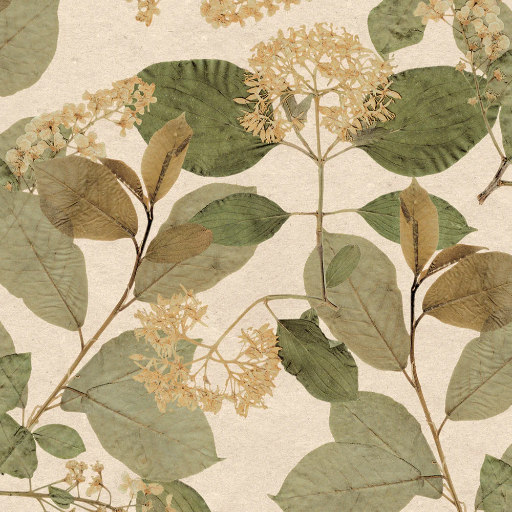 Castanum Bloom Green Wallpaper