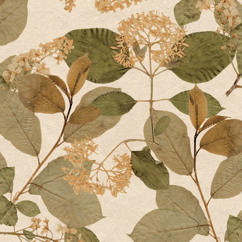 Castanum Bloom Orange Wallpaper