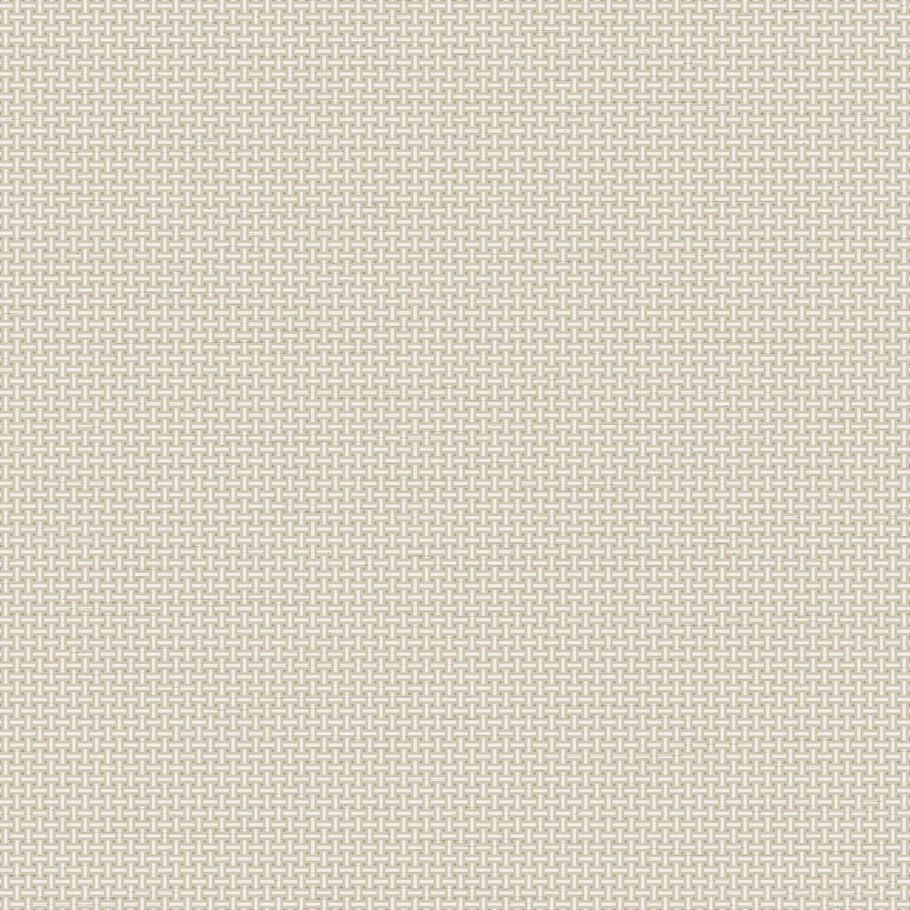 Cane Lattice Sage Wallpaper