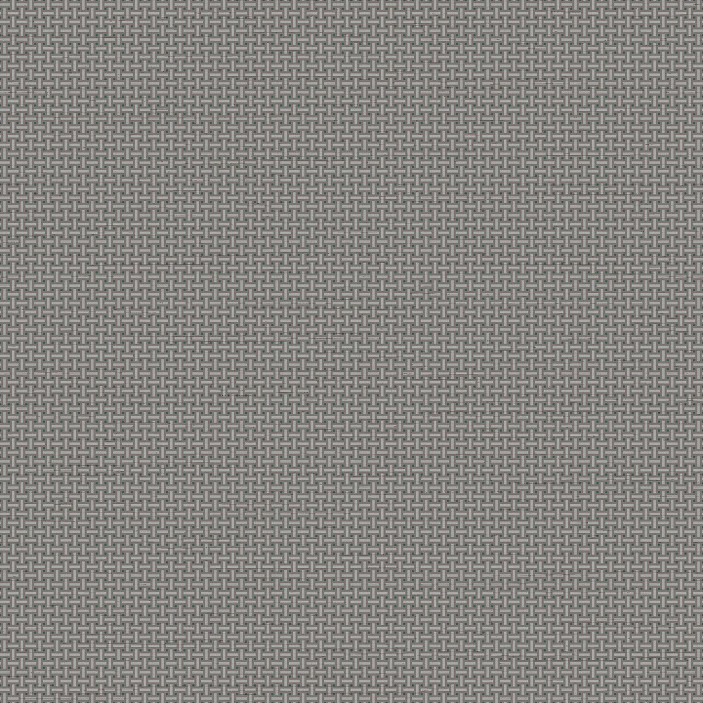 Cane Lattice Dark Gray Wallpaper