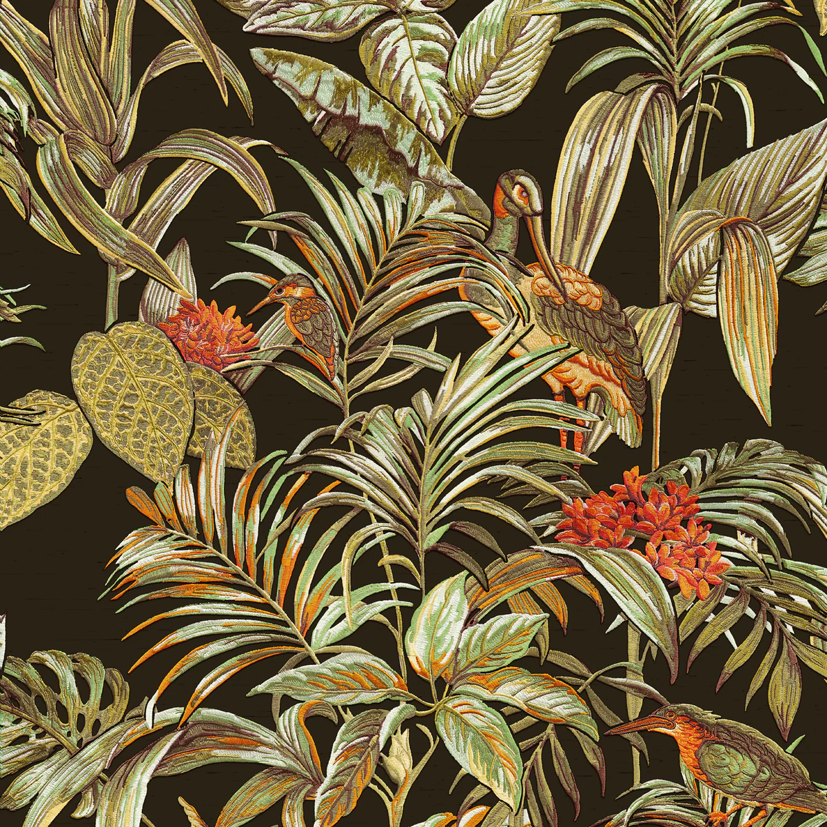 Bird of Paradise Black Wallpaper