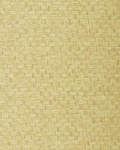 Best of Asia IV by Washington