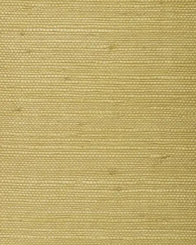 Best of Asia IV by Washington