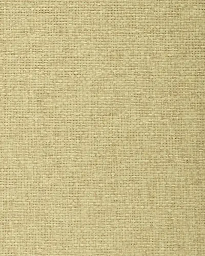 Best of Asia IV by Washington