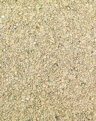 Best of Asia IV by Washington