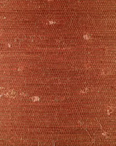 Best of Asia IV by Washington