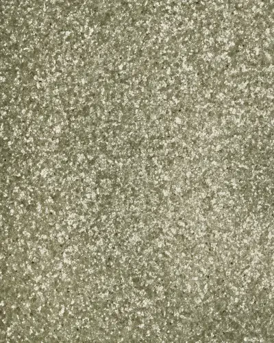 Best of Asia IV by Washington