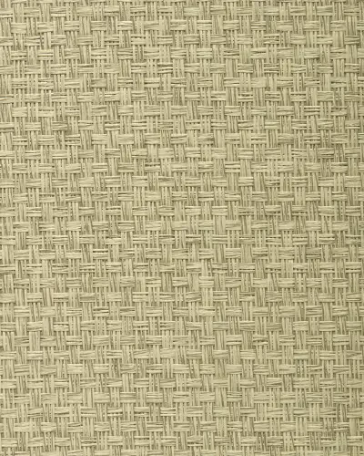 Best of Asia IV by Washington