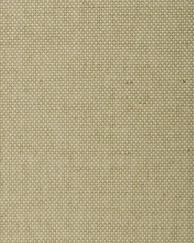 Best of Asia IV by Washington