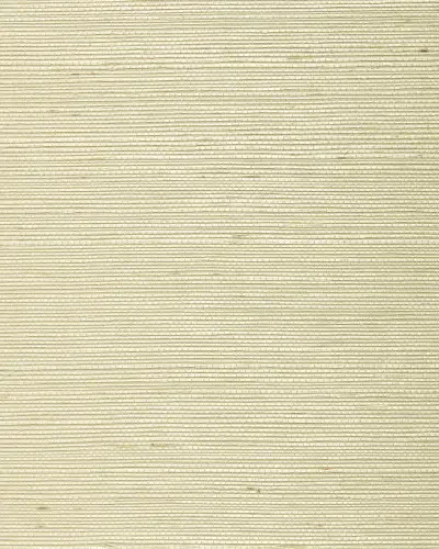 Best of Asia IV by Washington