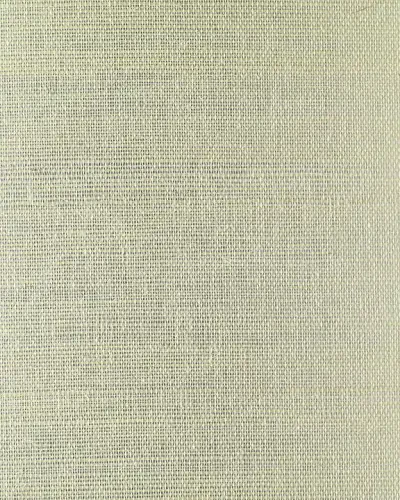 Best of Asia IV by Washington