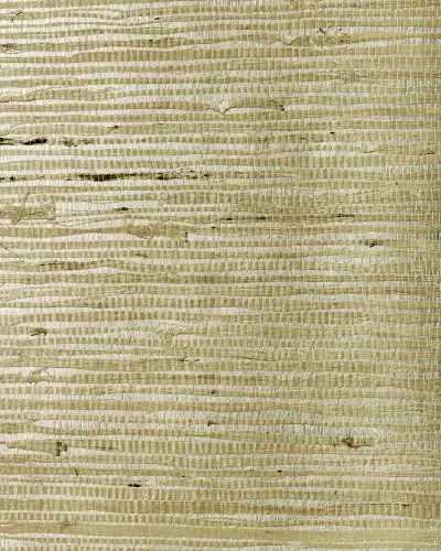 Best of Asia IV by Washington