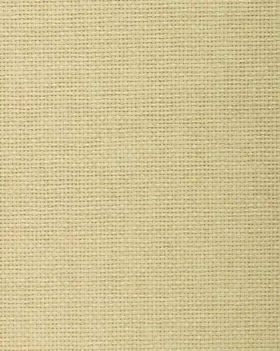 Best of Asia IV by Washington