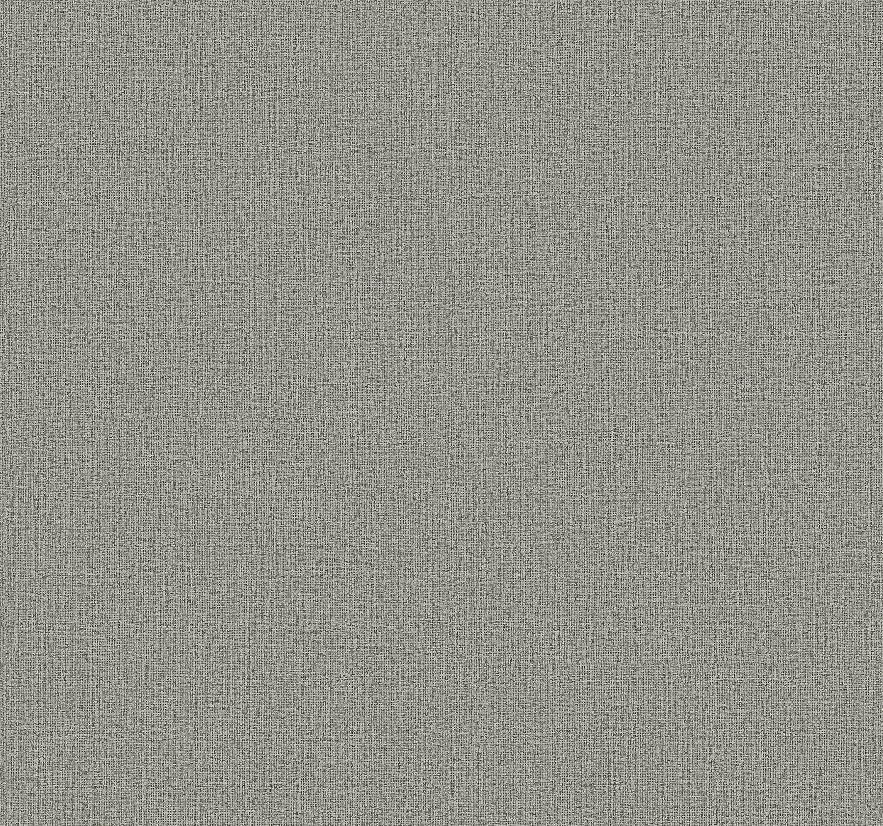 Dandy Grey Wallcovering