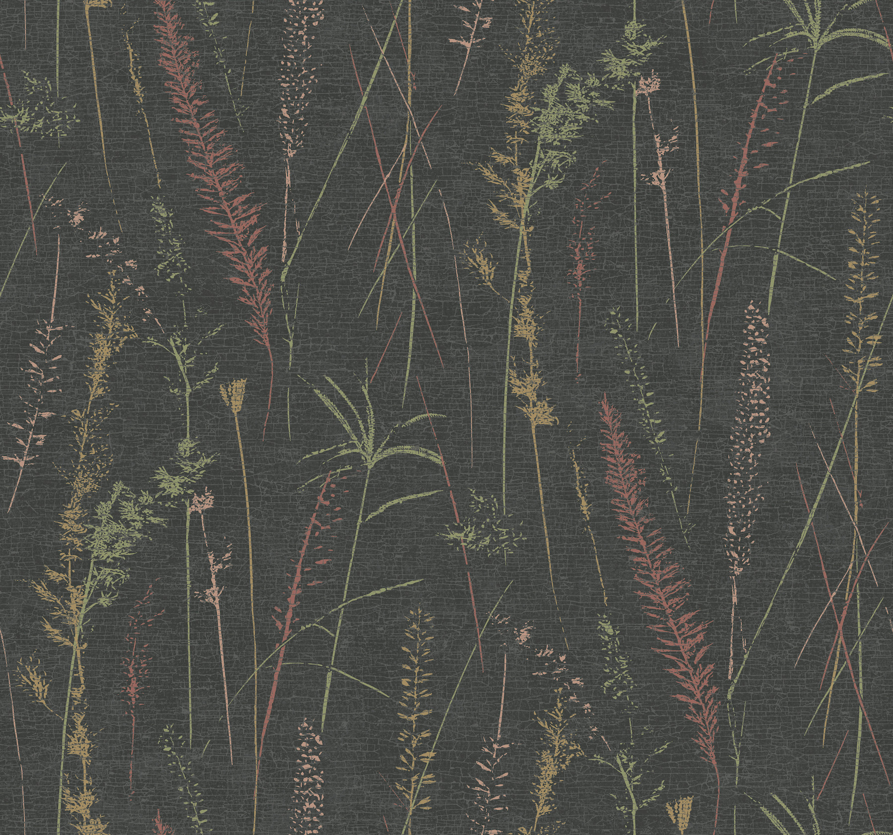 Meadow Splendor Black Botanical Wallpaper