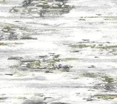 Black and White Resource Library by York