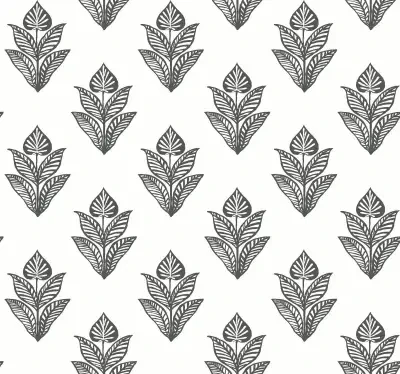 Black and White Resource Library by York