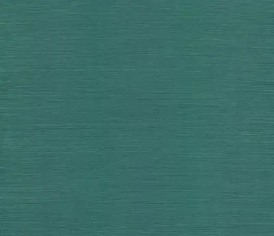 Blooms Second Edition by York