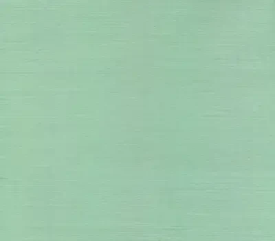 Blooms Second Edition by York