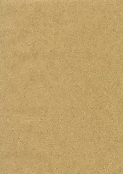 Dimension and Color by 750 Homre and Gewster