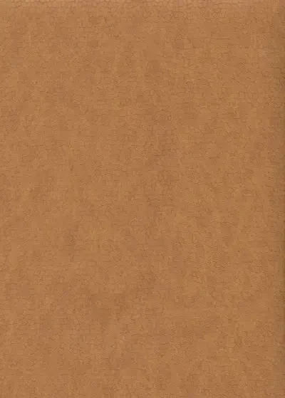 Dimension and Color by 750 Homre and Gewster