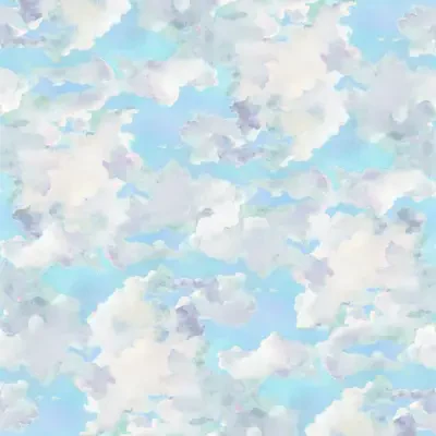 Murals Resource Library Volume 2 by York